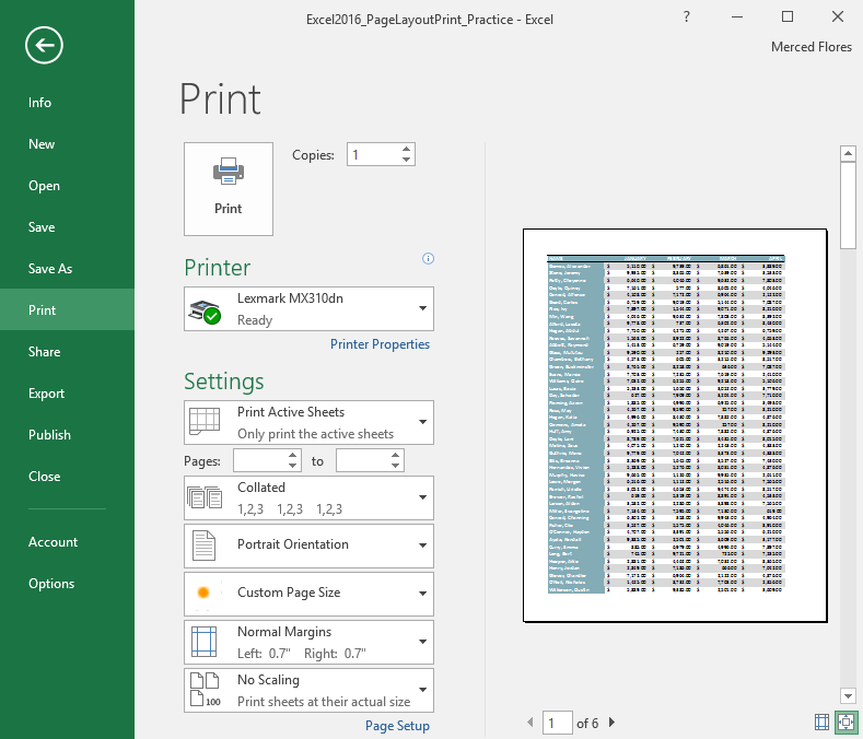 Excel Print pane