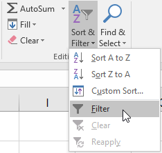 Home tab Sort & Filter menu showing Filter option