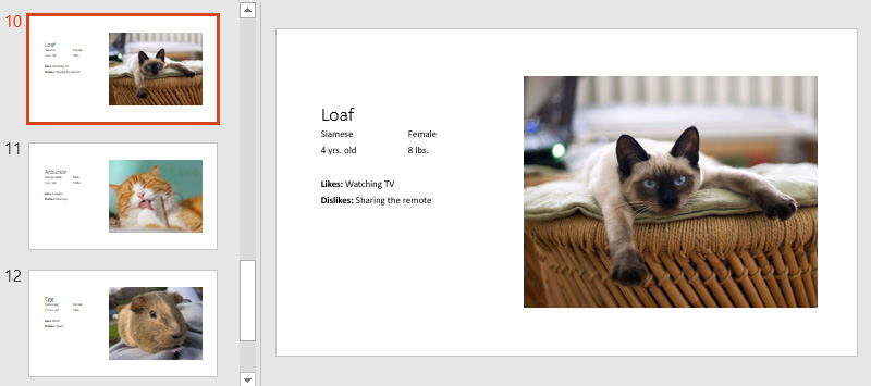 PowerPoint slide navigation pane