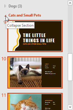 Collapsed slide section