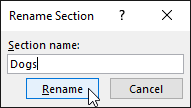 Rename section dialog