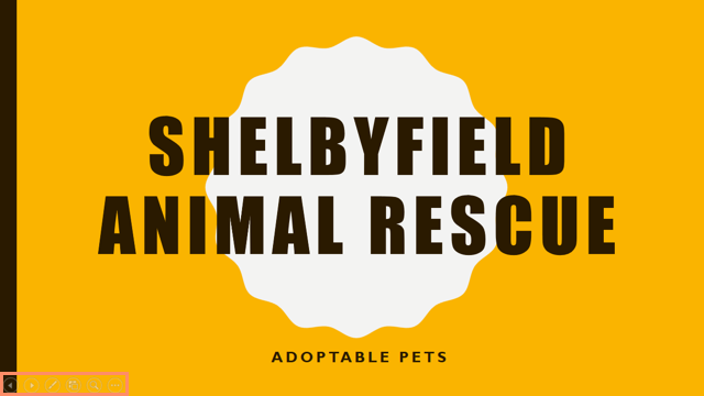 Slide show view in PowerPoint