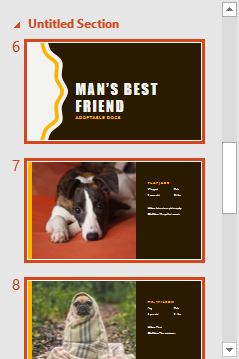 Untitled section in slide pane