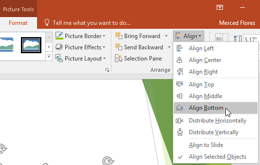 Align Bottom option in the Align menu
