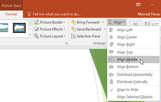 Align Middle option in the Align menu