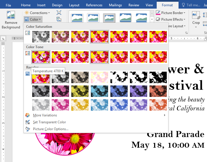 Color adjustments menu