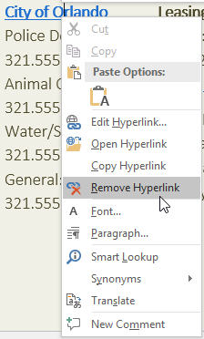 Remove hyperlink option