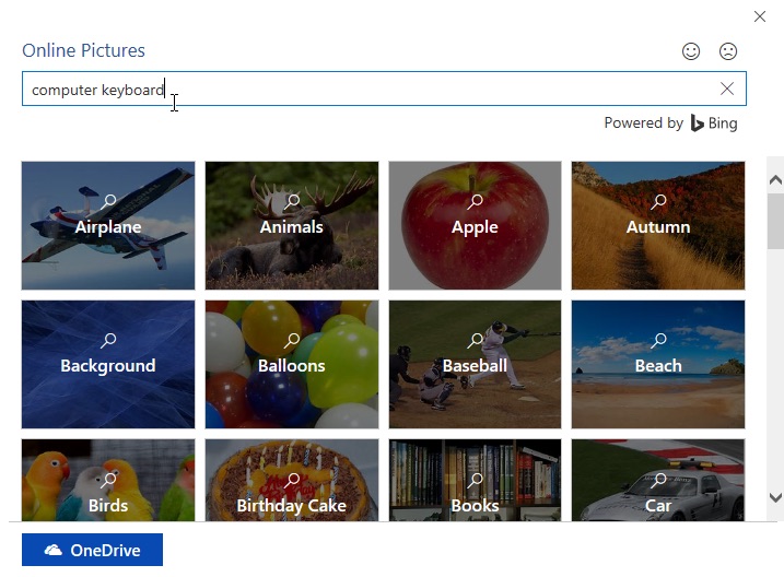 Online picture search window