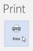 Print button in custom print